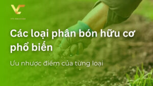 các loại phân bón hữu cơ phổ biến