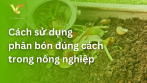 cách sử dụng phân bón đúng cách