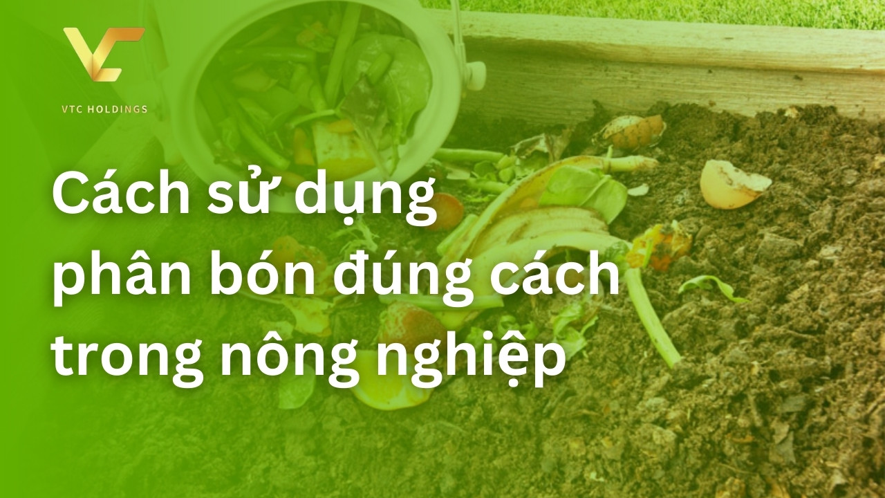 cách sử dụng phân bón đúng cách