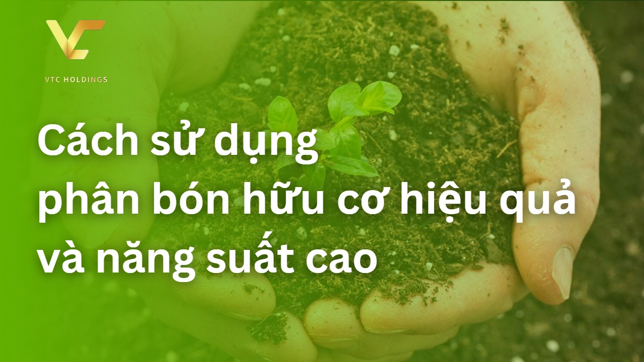 cách sử dụng phân bón hữu cơ
