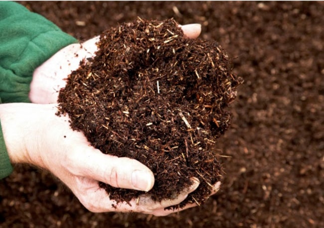 làm đất tơi xốp