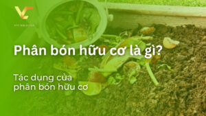 phân bón hữu cơ là gì