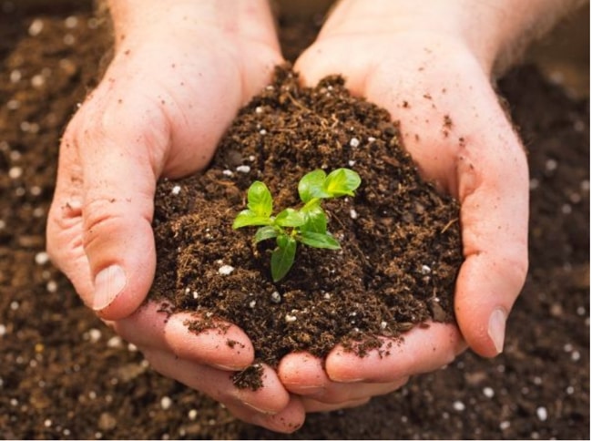 phân hữu cơ vi sinh