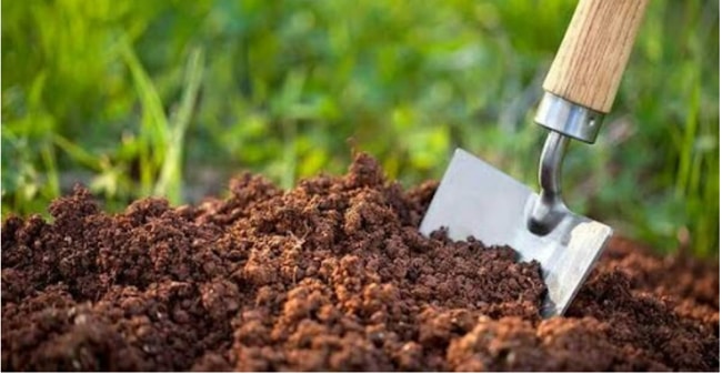 phân hữu cơ truyền thống