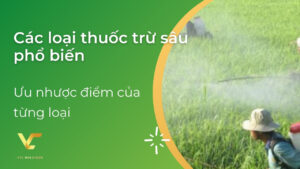 các loại thuốc trừ sâu phổ biến