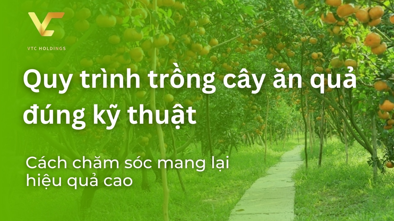 quy trình trồng cây ăn quả