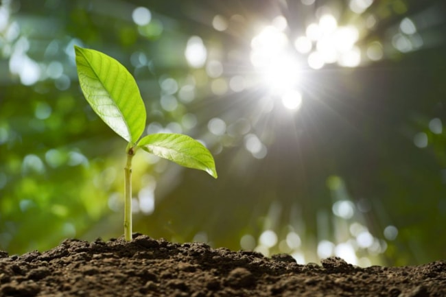 ánh sáng từ mặt trời