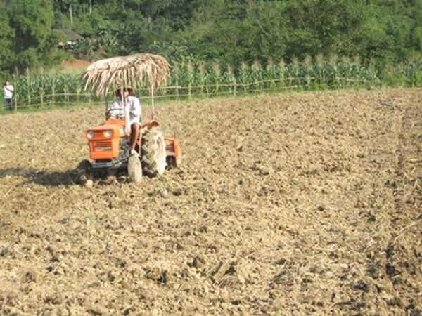 biện pháp canh tác