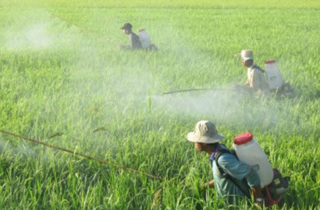 lợi ích của thuốc bảo vệ thực vật