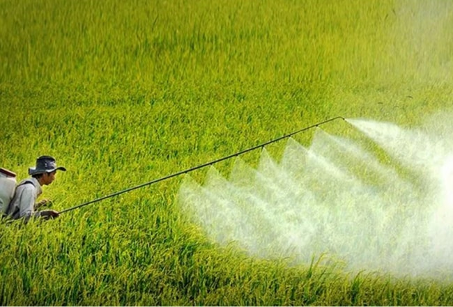 thuốc bảo vệ thực vật là gì