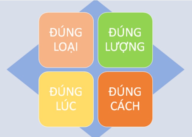 nguyên tắc 4 đúng