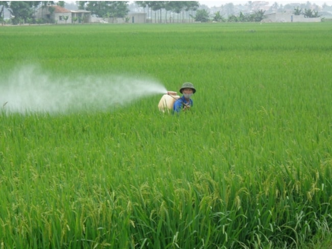 thuốc BVTV là gì