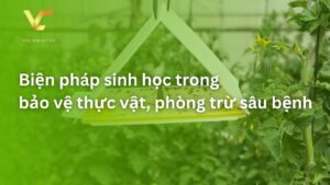 biện pháp bảo vệ thực vật