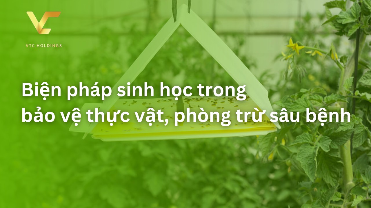 biện pháp bảo vệ thực vật
