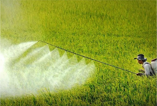 biện pháp sinh học bảo vệ là gì