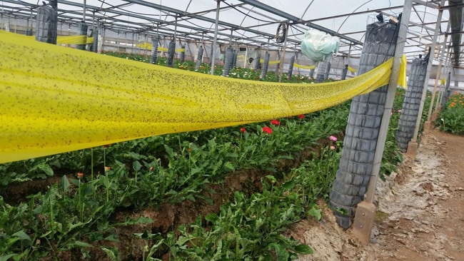 biện pháp vật lý