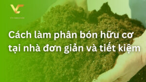 cách làm phân bón hữu cơ tại nhà