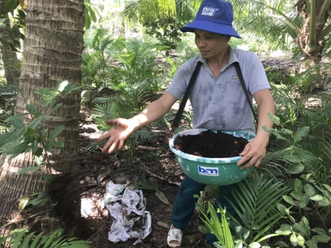 chăm sóc bón phân