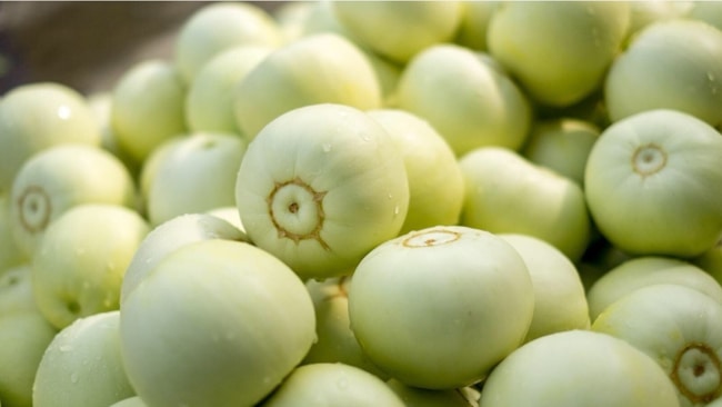 chọn giống dưa lê