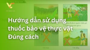hướng dẫn sử dụng thuốc bvtv đúng cách