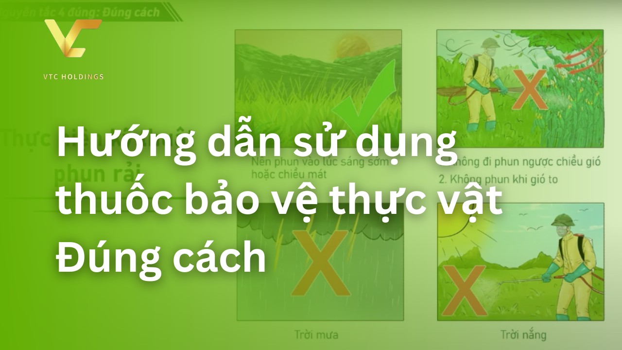 hướng dẫn sử dụng thuốc bvtv đúng cách