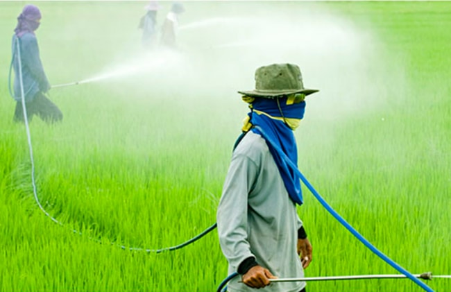 mức dư lượng thuốc tối đa cho phép