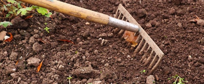 nâng cao độ phì nhiêu làm đât tơi xốp