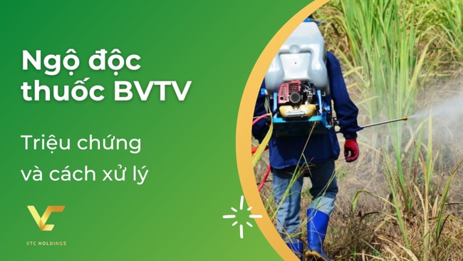ngộ độc thuốc bảo vệ thực vật
