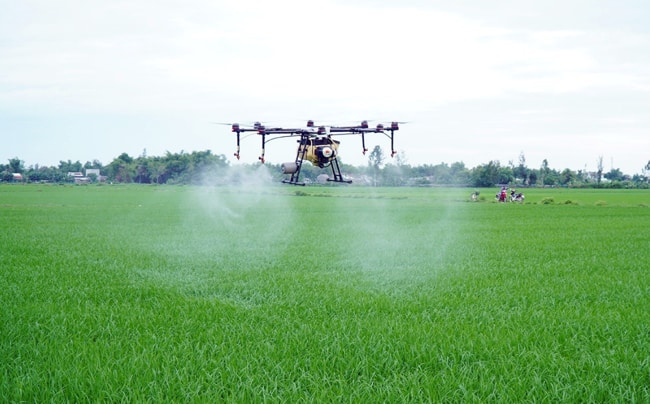 thuốc bvtv là gì