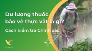 Dư lượng thuốc bảo vệ thực vật là gì