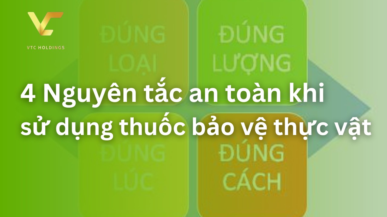 an toàn khi sử dụng thuốc bảo vệ thực vật