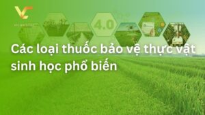 các loại thuốc bảo vệ thực vật sinh học
