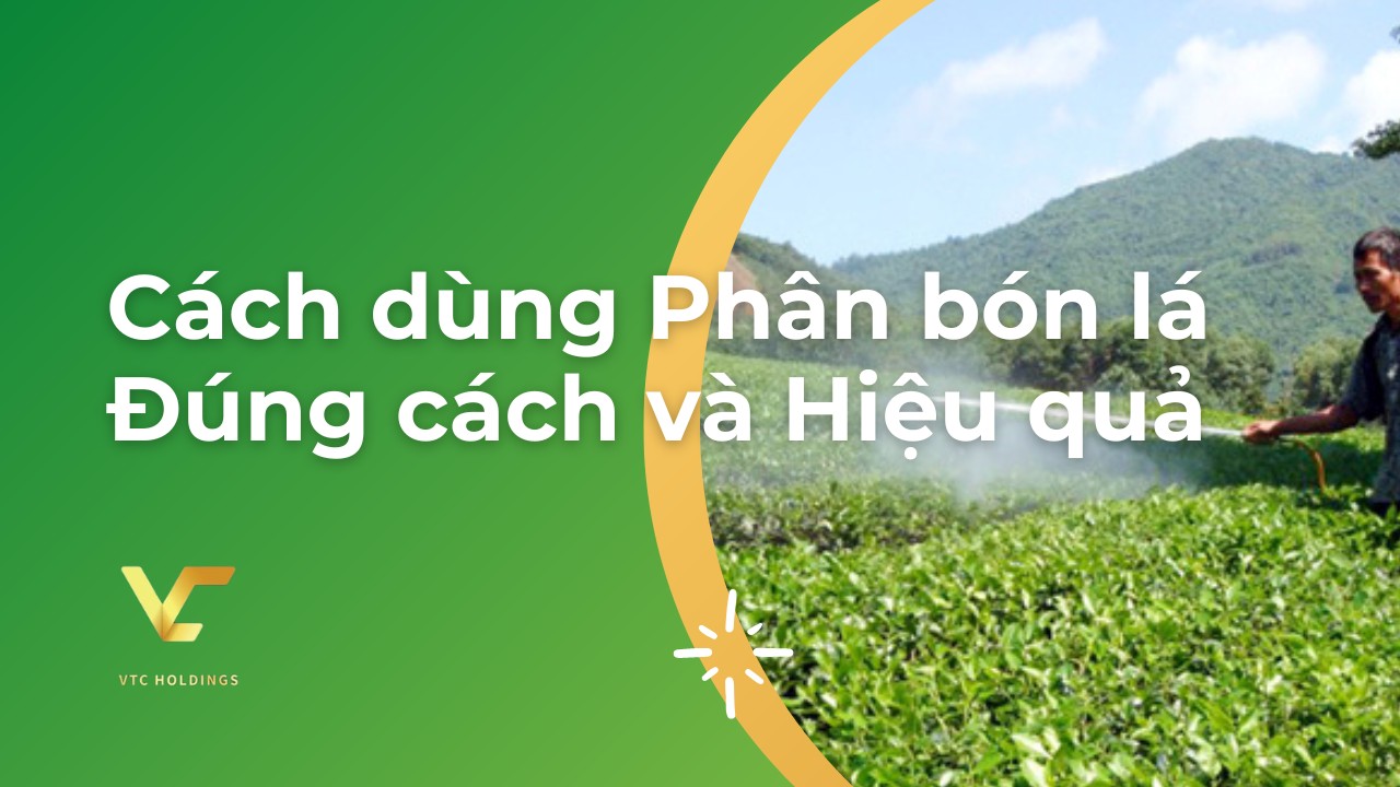 cách dùng phân bón lá