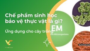 chế phẩm sinh học bảo vệ thực vật là gì