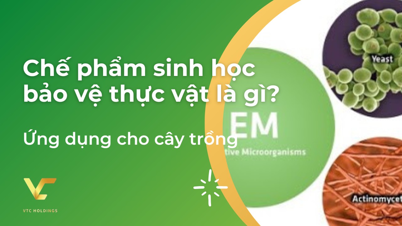 chế phẩm sinh học bảo vệ thực vật là gì