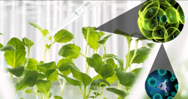 công nghệ nano là gì