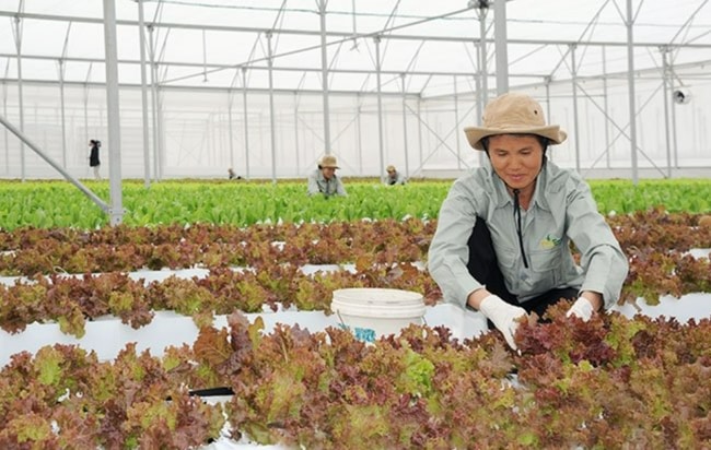 công nghệ nano trong phòng trừ sâu bệnh