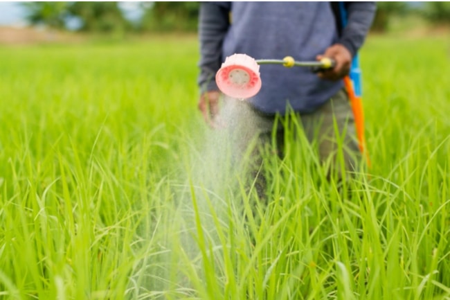 dư lượng thuốc bảo vệ thực vật