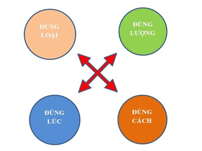 đúng thời điểm