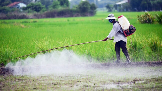 hóa chất bảo vệ thực vật