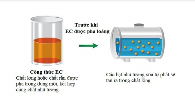ký hiệu ec