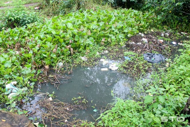 ô nhiễm nguồn nước