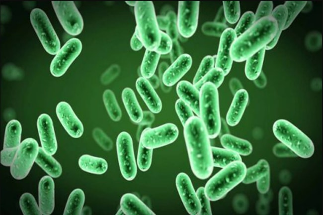 thuốc bảo vệ thực vật sinh học có nguồn gốc từ virus