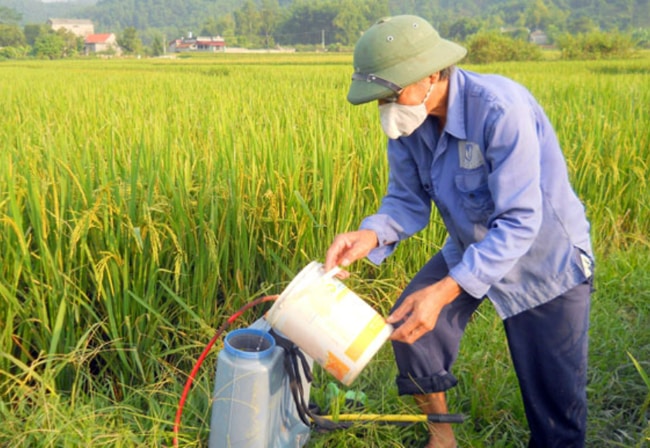 người dân dùng thuốc bảo vệ thực vật theo thói quen