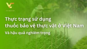 thực trạng sử dụng thuốc bảo vệ thực vật