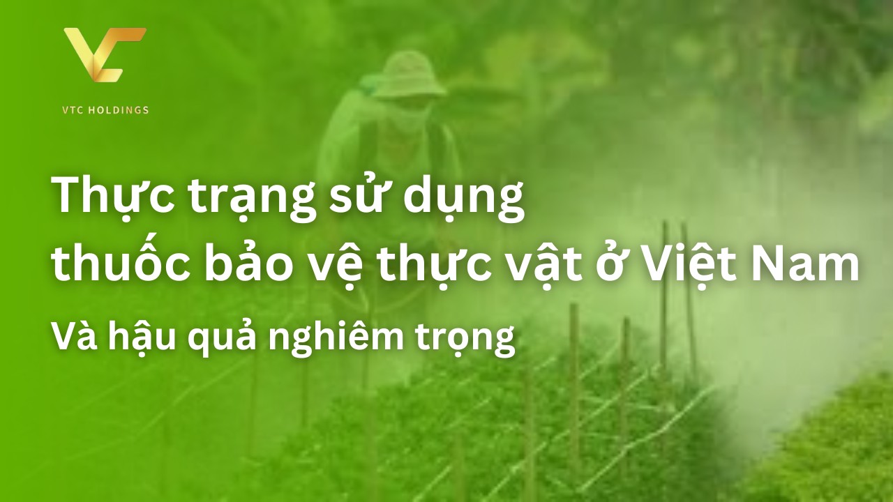 thực trạng sử dụng thuốc bảo vệ thực vật