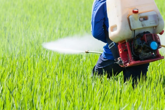 thuốc bảo vệ thực vật là gì 