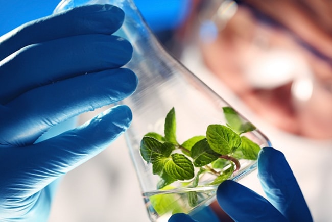 thuốc bvtv sinh học là gì 