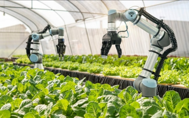 triển vọng của ngành trồng trọt