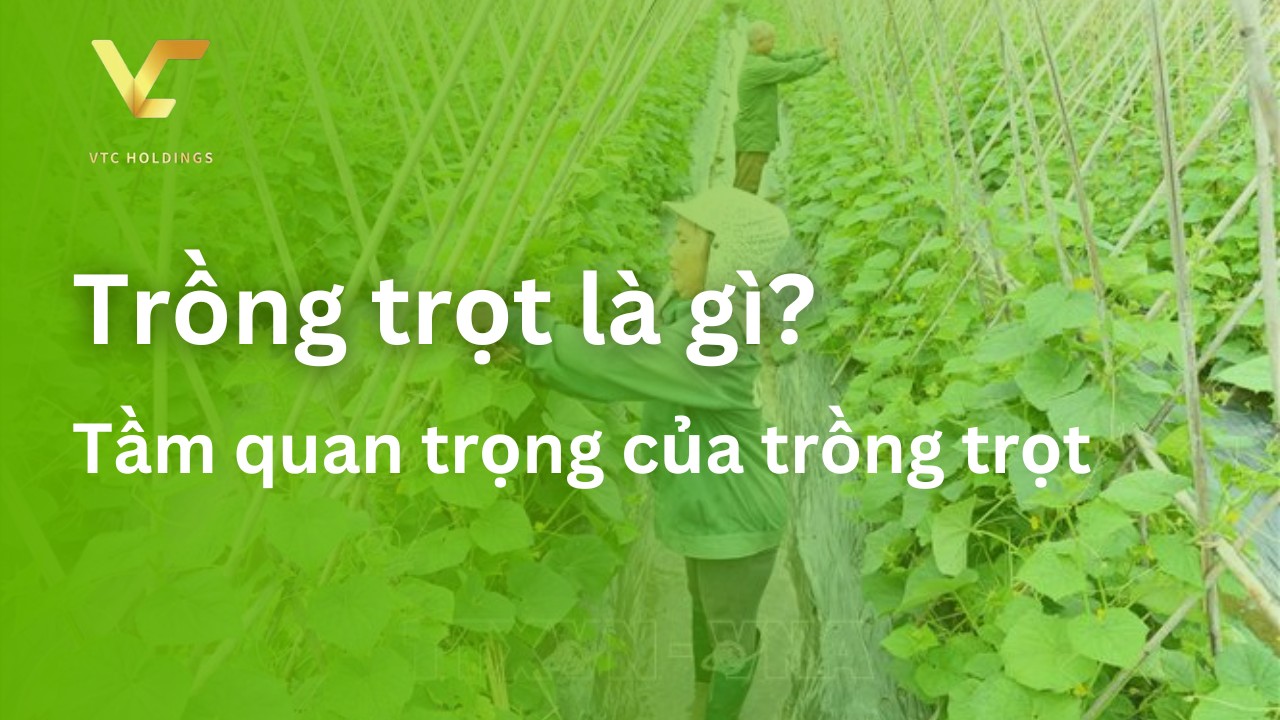 trồng trọt là gì